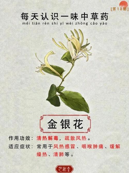 梦见金银花解析5个象征意义及其心理影响 梦见金银花解析5个象征意义及其心理影响