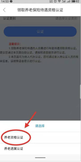 你真的了解内蒙古人社养老保险的正确玩法吗？——手游攻略全揭秘