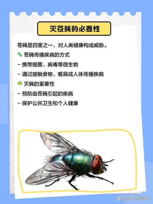 梦见死苍蝇寓意是哪些？揭秘潜在心理信号与解决方法