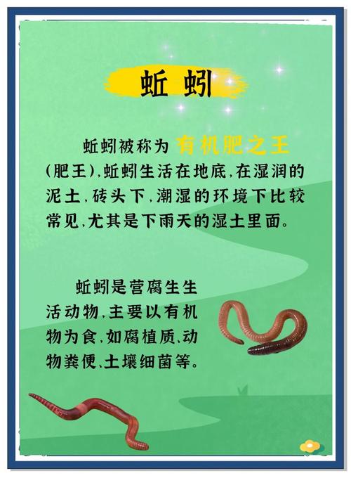 梦见蚯蚓的8种心理解析及象征意义揭秘
