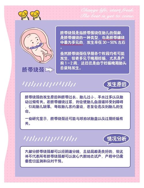 解梦指南深入解析梦见脐带的象征意义及心理暗示