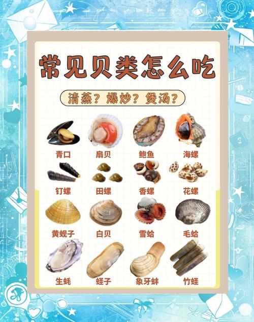 揭秘梦见海鲜贝壳的5大象征意义解读梦境的神秘信号