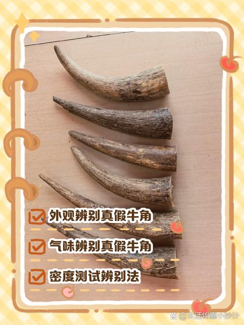 梦见牛角象征哪些?深层解析与心理暗示是关键 梦见牛角象征哪些?深层解析与心理暗示是关键