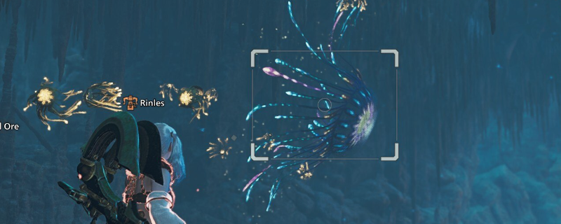 单游秘技揭秘：怪物猎人：荒野独特捕获技巧如何助你成功狩猎？