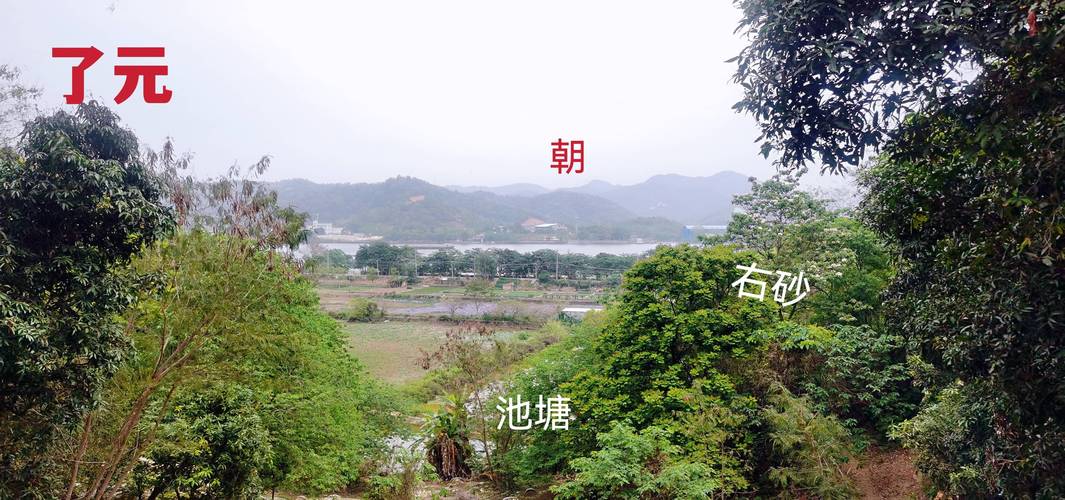 梦见辔头解析心理解读 vs 风水寓意，哪个更贴近你？