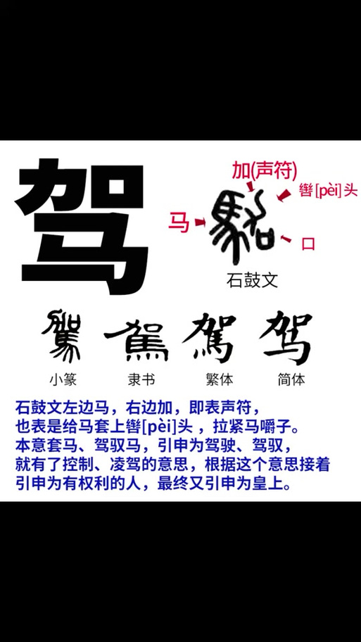 梦见辔头解析心理解读 vs 风水寓意，哪个更贴近你？