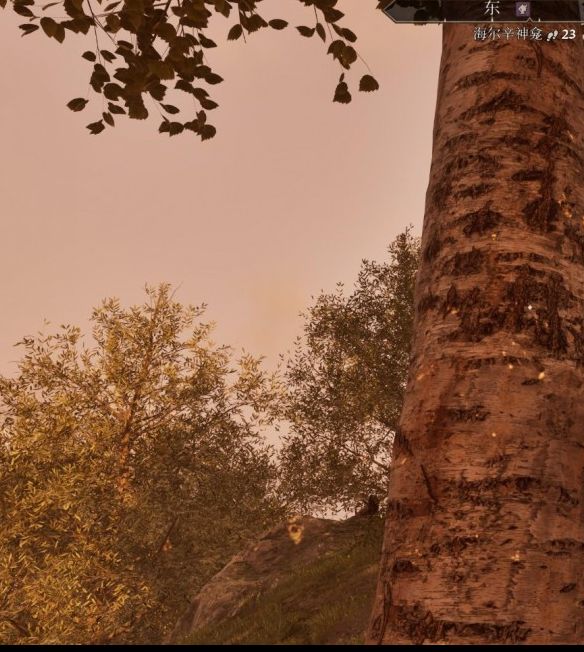 你知道如何在上古卷轴4：湮灭重制版中获得大衮套装吗？