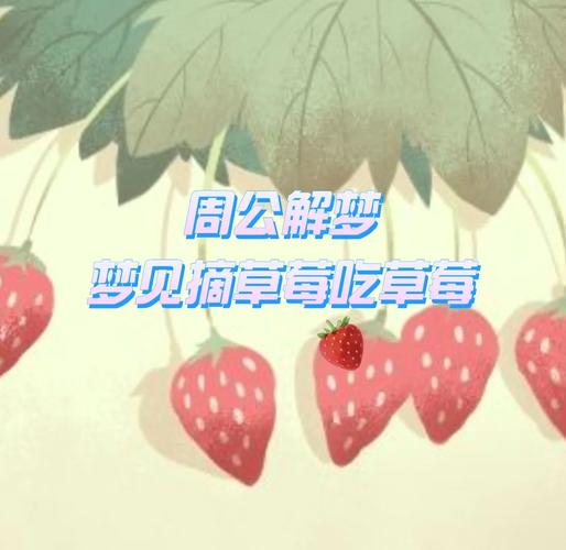 揭秘梦见摘草莓的深层含义,竟暗藏人生转机? 揭秘梦见摘草莓的深层含义,竟暗藏人生转机?