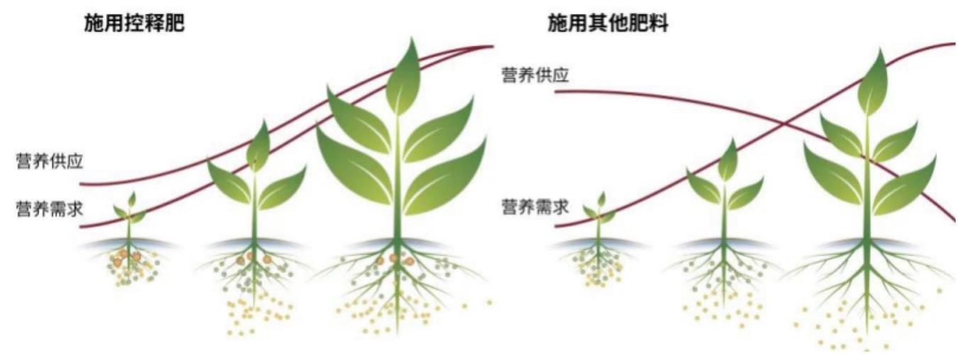 梦见肥料的解读高效解决方案与心理分析 梦见肥料的解读高效解决方案与心理分析