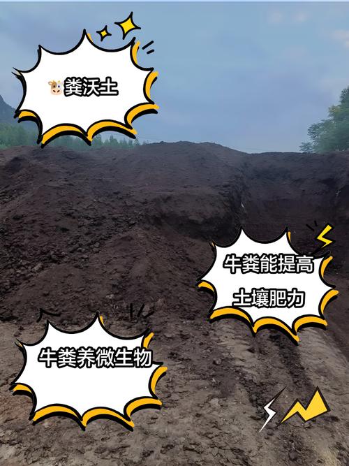 梦见牛粪的5个解读方式及其意义分析