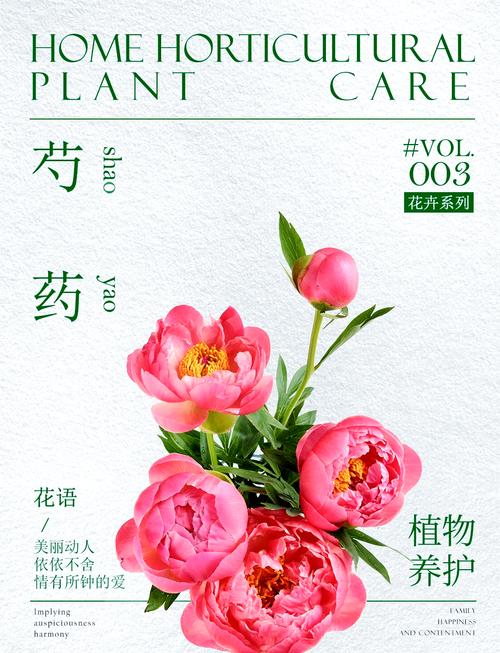 梦见芍药花的预兆解读背后的神秘寓意与人生启示