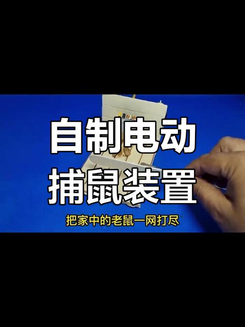 捕鼠器如何梦境解析高效解决方案揭秘