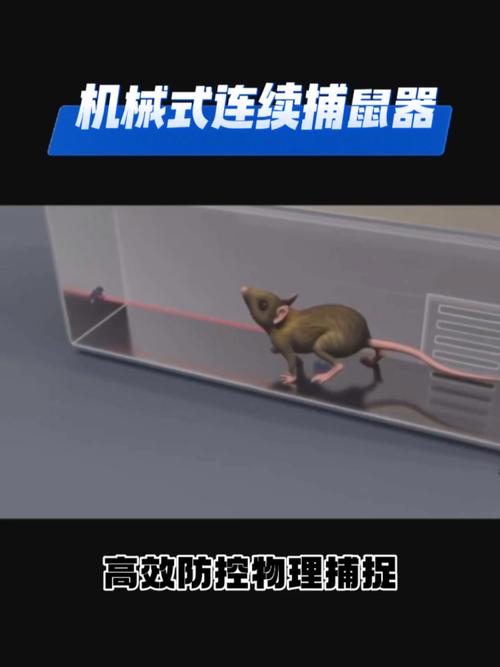 捕鼠器如何梦境解析高效解决方案揭秘