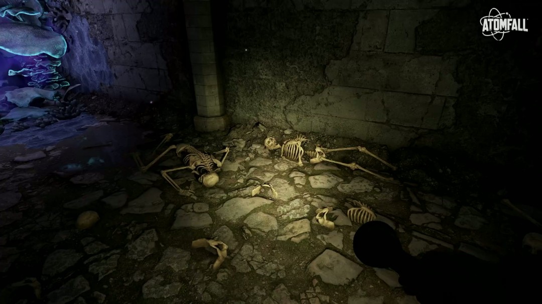 原子陨落首个故事资料片6月3日发售：如何影响游戏体验？