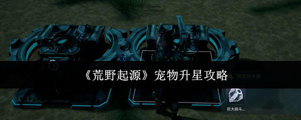 荒野起源宠物如何快速升星？解锁隐藏技巧添战力！