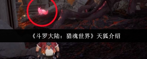 斗罗大陆：猎魂世界手游攻略—深入解读天狐角色，提升战力秘诀！