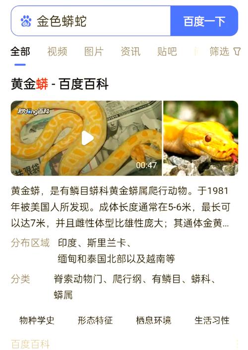 梦见金色蟒蛇意味着哪些？揭示背后的象征与心理解析。