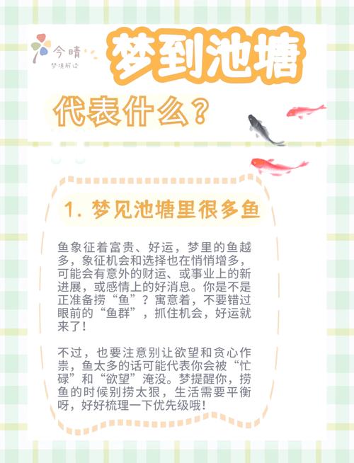揭秘梦见蝌蚪的真正含义它与财富运势有何关联？