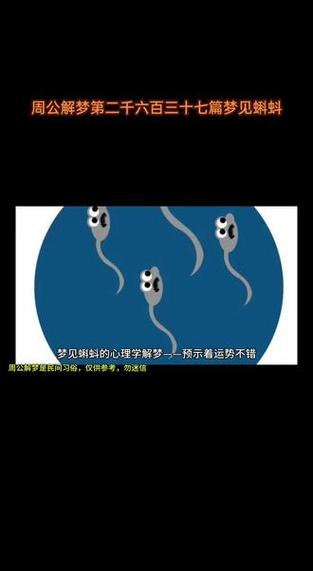 揭秘梦见蝌蚪的真正含义它与财富运势有何关联？