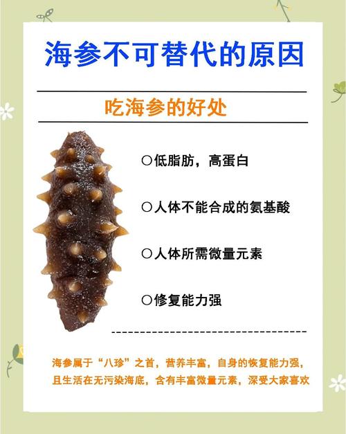 深入解析梦见海参解锁心理寓意,提升生活幸福感 深入解析梦见海参解锁心理寓意,提升生活幸福感