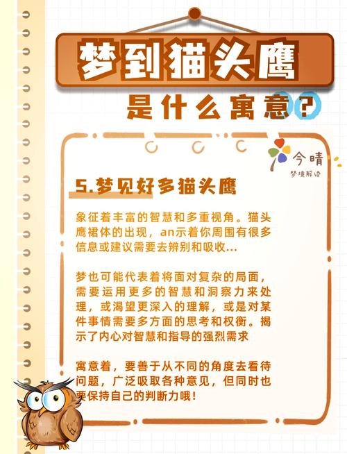 梦见猫头鹰 vs 梦见麻雀解析梦境寓意与吉凶对比