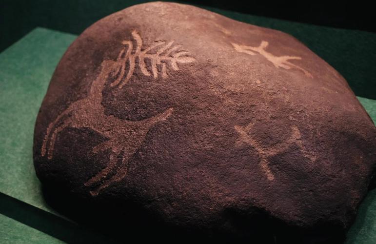 梦见化石预示哪些?解密古老符号的神秘寓意 梦见化石预示哪些?解密古老符号的神秘寓意