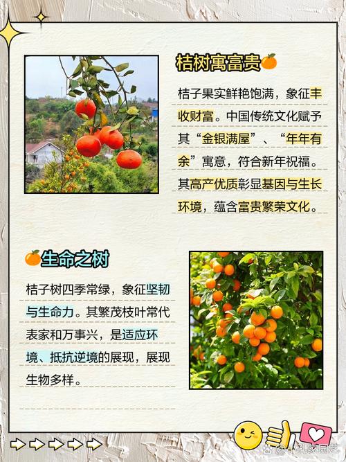 梦见橘子树预示哪些？解析其象征意义及生活启示！