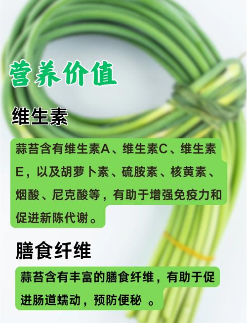 梦见蒜苔背后含义心理解析及高效改善方案