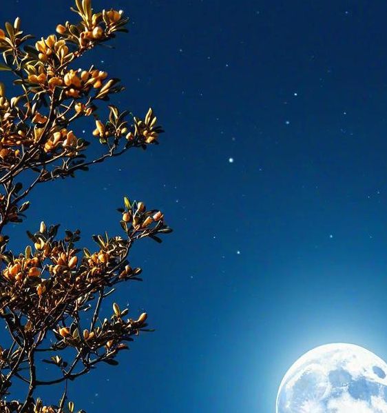 梦见密云散开月光明亮的象征意义解梦 vs 现实解析