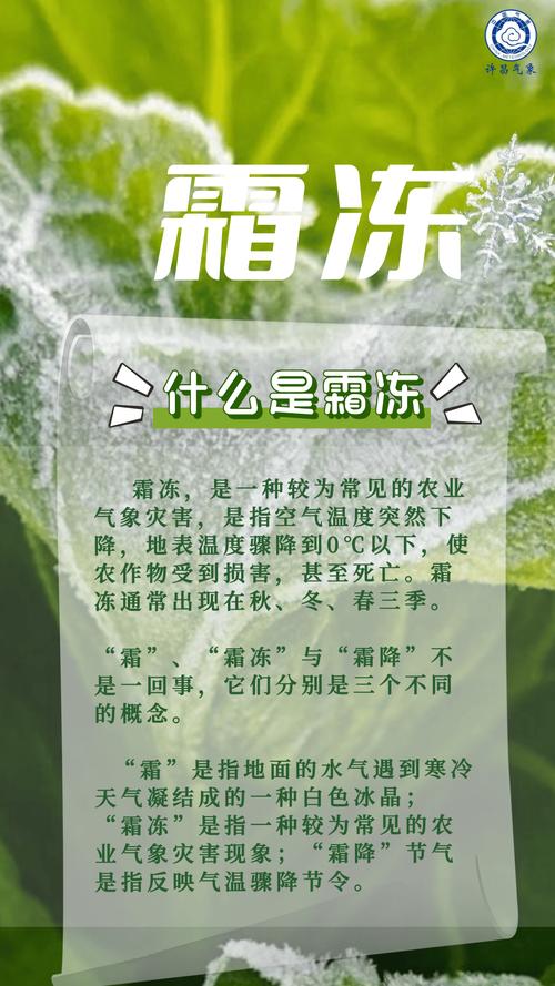 梦见冰霜的象征意义，揭示背后的心理暗示与预兆
