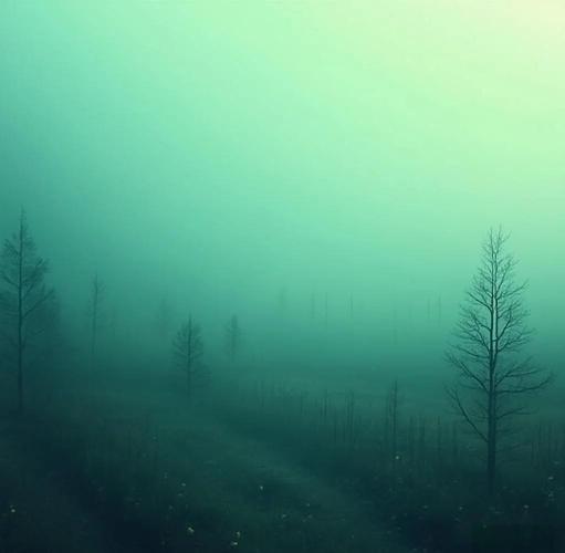 梦见雾气的心理解析揭示5个专家认可的隐藏意义