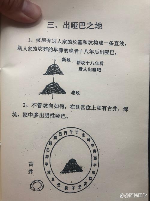 梦见山中墓地暗示哪些？解析其象征意义与心理分析