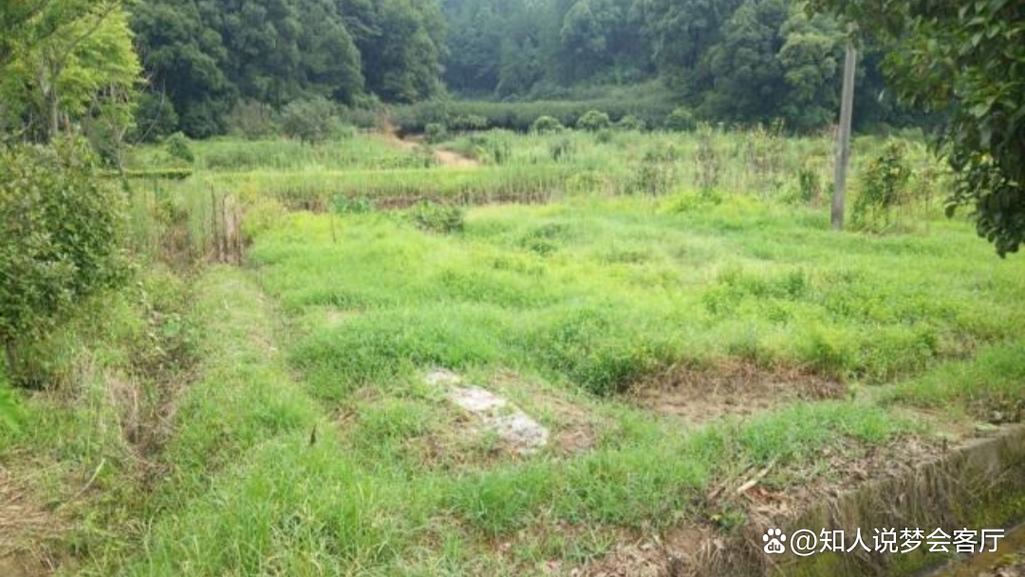 「揭秘梦见荒地: 解析7个潜在心理暗示」