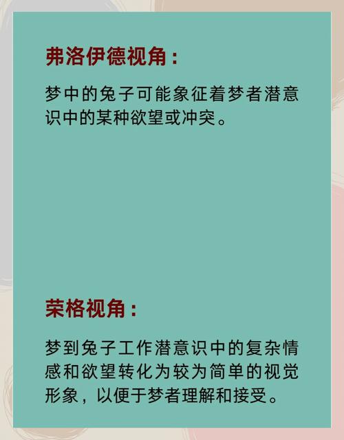 梦见白色解读意义与象征详解 vs 实际影响分析