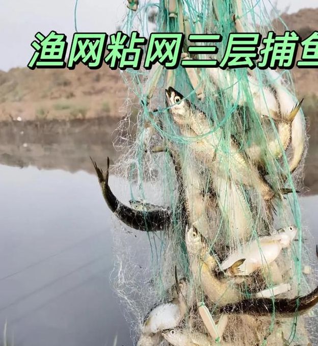 梦见渔网暗示哪些？揭示背后隐秘含义及心理解析！