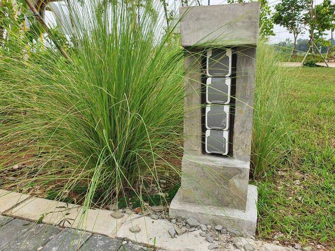 梦见家里长草预示何意？心理解读与风水解析对比