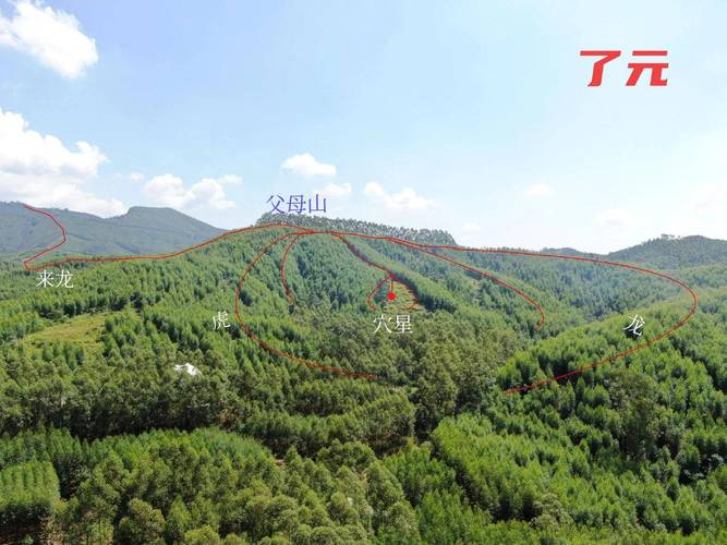 梦见家里长草预示何意？心理解读与风水解析对比