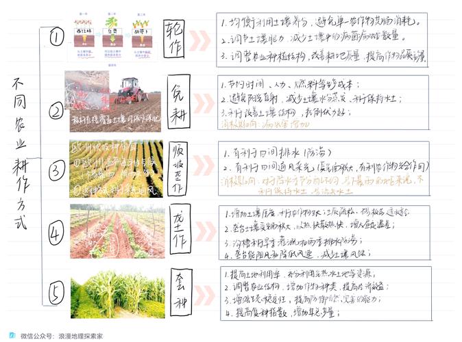 梦见耕种深意解析，用户揭示心灵成长的神奇体验！