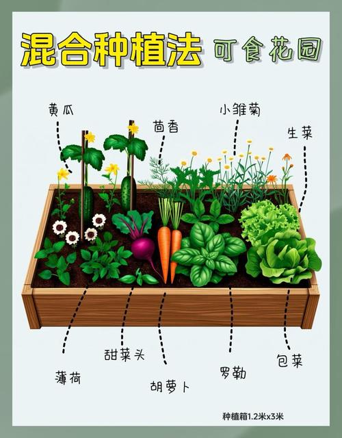 梦见菜圃象征哪些？解读梦境中良好发展及高效解决方案