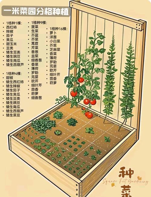 梦见菜圃象征哪些？解读梦境中良好发展及高效解决方案