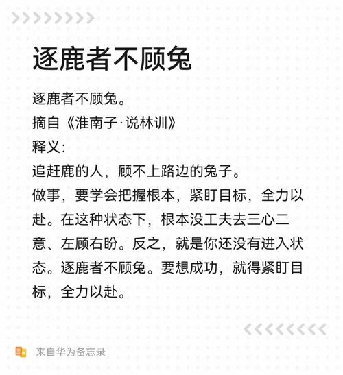 梦见鹿兔象征哪些？深度解读及高效解决方案