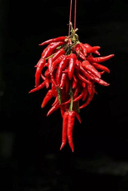 揭秘梦见摘辣椒背后的心理暗示与7个重要解读