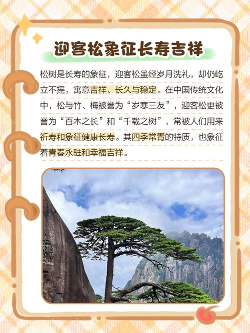 梦见松树象征解析揭示背后深层心理与精神启示