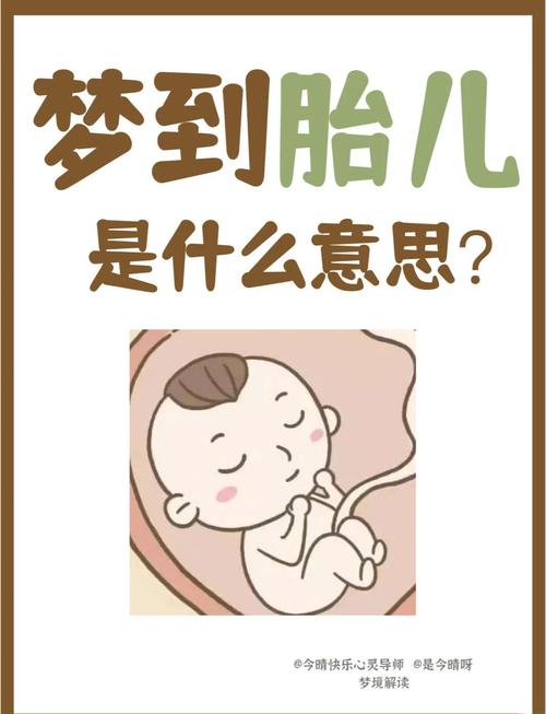 梦见胎儿意味着哪些？解析梦境背后隐藏的心理暗示和生活启示