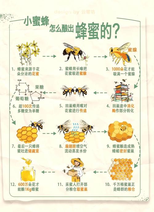 梦见甜蜜的蜂蜜暗示幸福生活解读梦境背后的深层含义