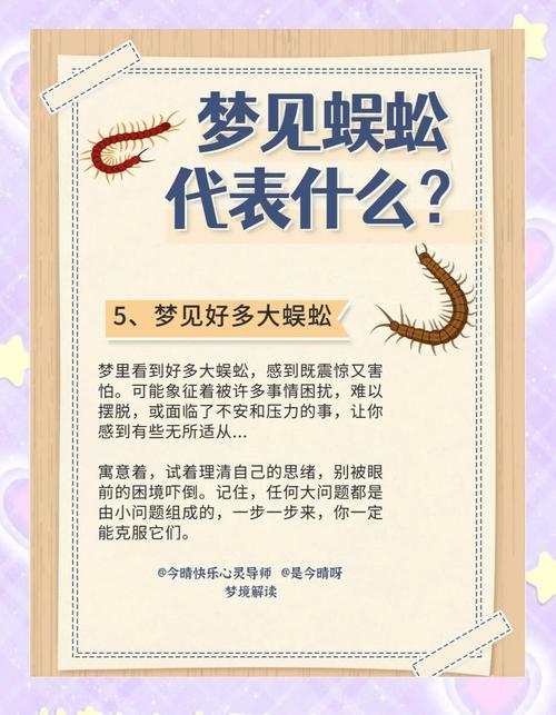 梦见蜈蚣象征意义解析，化解梦境疑惑提升心理健康