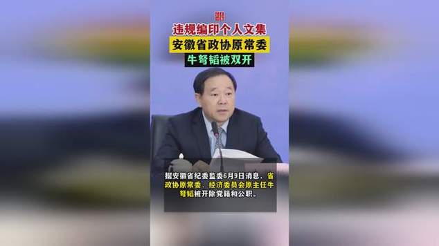 原厅长牛弩韬如何因违规文集引发调查风波？揭秘背后真相！