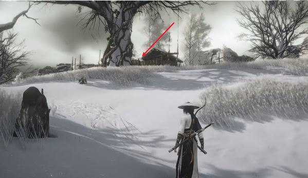 揭秘玉露台猫戏全收集，探索燕云十六声中的隐藏惊喜！