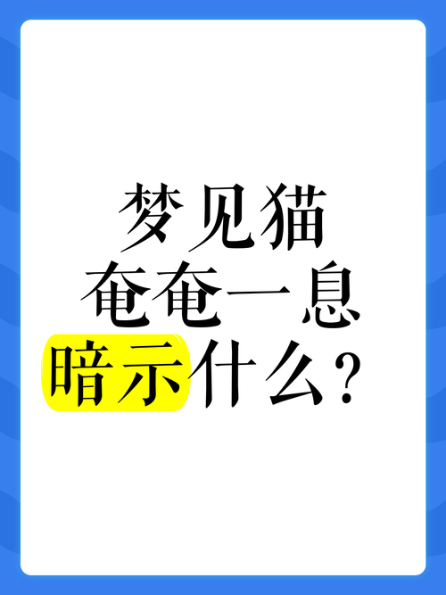 梦见猫死了的5个心理暗示及应对方法解析