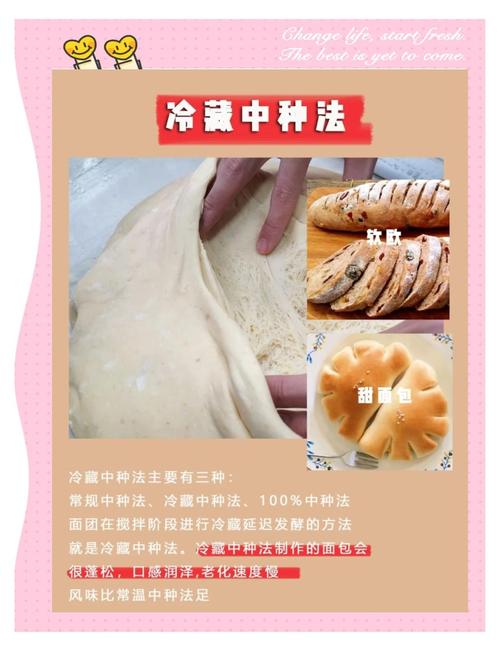 揭秘梦见生面团的6大含义与心理分析权威指南